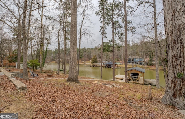 480 Mitchell Rd, Covington, GA 30014 - view of yard with a boat dock and a water view
