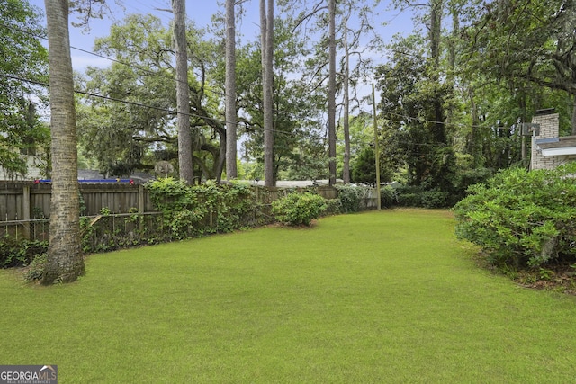 631 Valleybrook Rd, Savannah, GA 31419 - view of yard