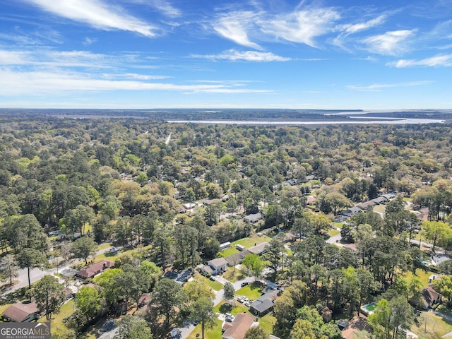 631 Valleybrook Rd, Savannah, GA 31419 - aerial view of residential area with a heavily wooded area