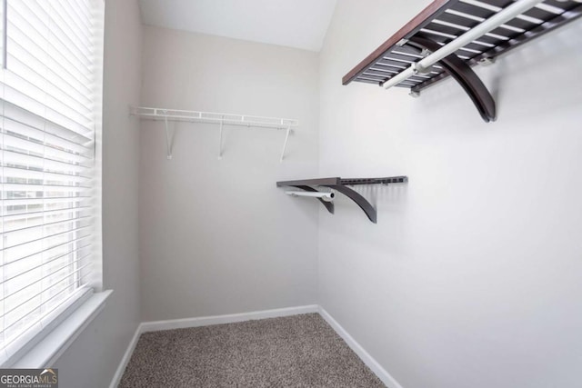 6207 Idlewood Cir, Lithonia, GA 30038 - walk in closet with carpet flooring