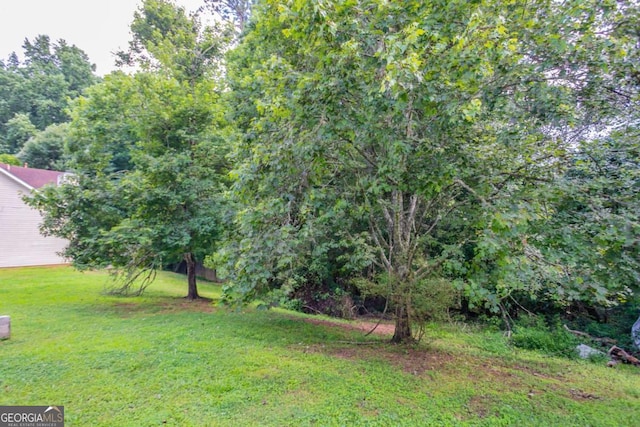 6207 Idlewood Cir, Lithonia, GA 30038 - view of green lawn