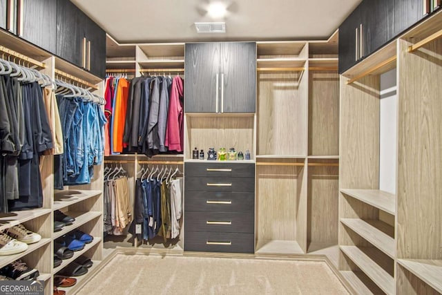 1049 Bodega Loop, Locust Grove, GA 30248 - view of walk in closet