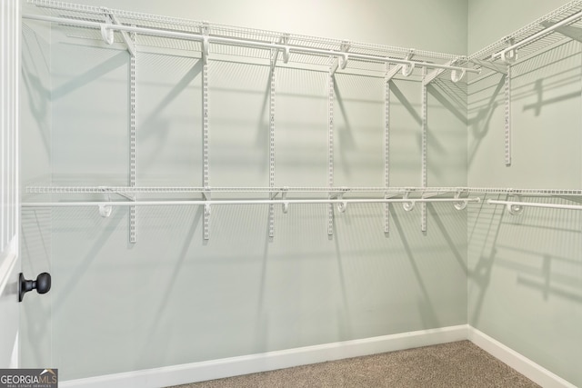 148 David Elder Rd, Griffin, GA 30223 - walk in closet featuring carpet flooring