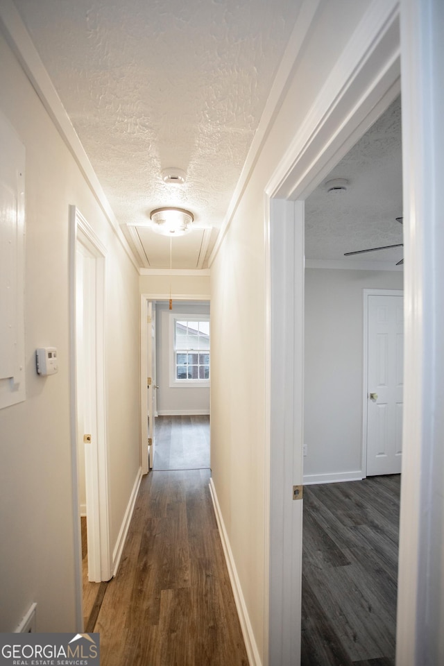 235 Cindy St, Jackson, GA 30233 - corridor featuring attic access, wood finished floors, a textured ceiling, and ornamental molding