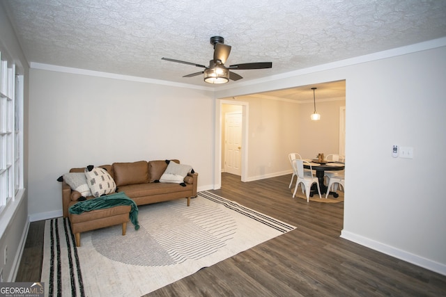 235 Cindy St, Jackson, GA 30233 - living area featuring wood finished floors, ceiling fan, a textured ceiling, and ornamental molding