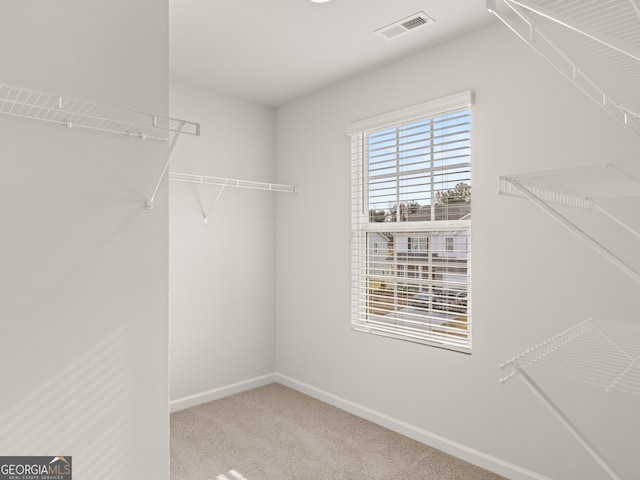 410 Oak View Ln, Dallas, GA 30157 - walk in closet featuring carpet flooring