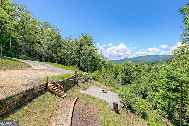 967 Saddle Gap Dr, Clayton, GA 30525 - view of yard featuring a wooded view