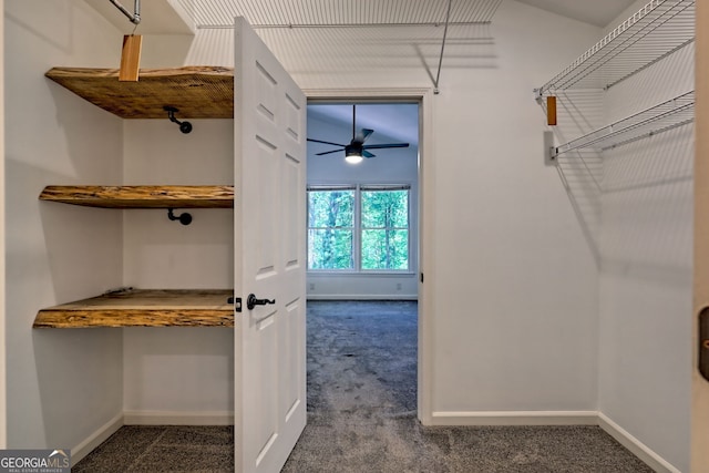 967 Saddle Gap Dr, Clayton, GA 30525 - spacious closet with dark colored carpet and ceiling fan