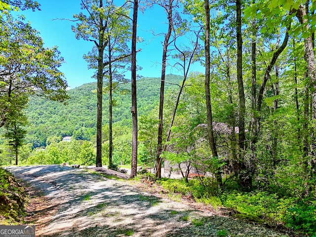 967 Saddle Gap Dr, Clayton, GA 30525 - view of street with a forest view and a mountain view