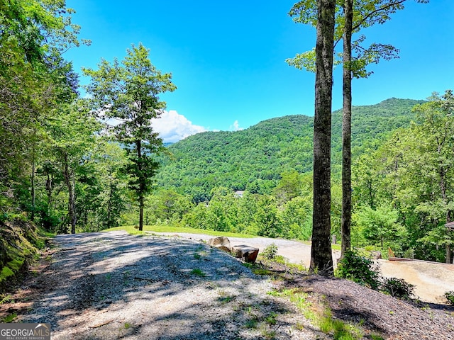 967 Saddle Gap Dr, Clayton, GA 30525 - mountain view with a forest
