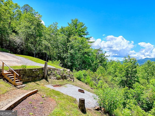 967 Saddle Gap Dr, Clayton, GA 30525 - view of yard