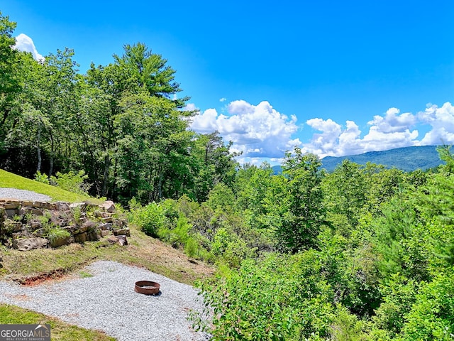 967 Saddle Gap Dr, Clayton, GA 30525 - view of yard featuring a view of trees