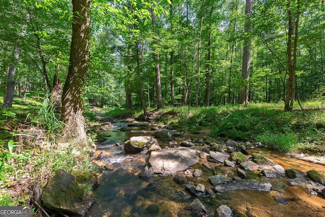 1770 Whippoorwill Rd, Watkinsville, GA 30677 - view of woods