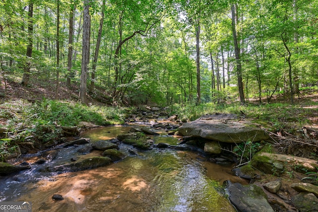 1770 Whippoorwill Rd, Watkinsville, GA 30677 - view of wooded area