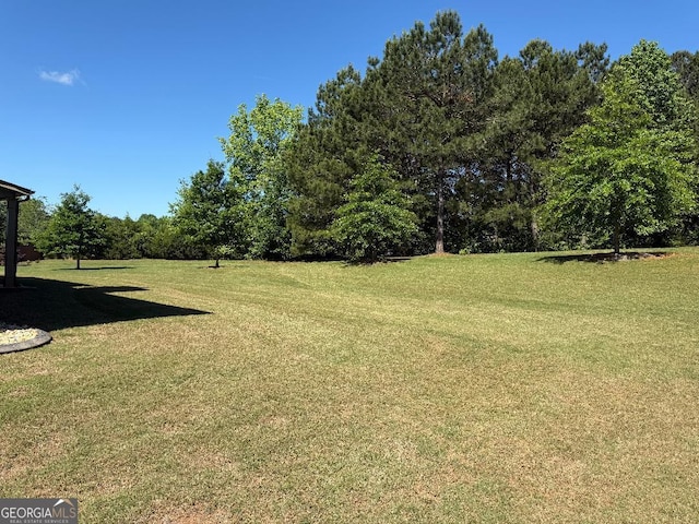 173 Lavender Way, Mcdonough, GA 30252 - view of green lawn