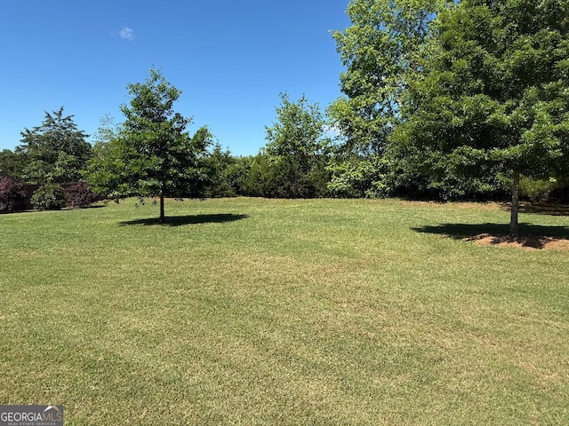 173 Lavender Way, Mcdonough, GA 30252 - view of green lawn