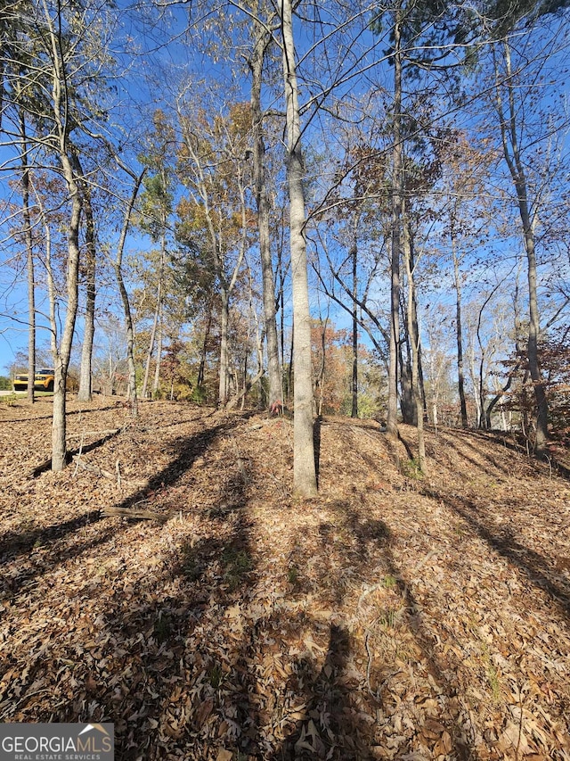 173 Edgewater Trl S, Toccoa, GA 30577