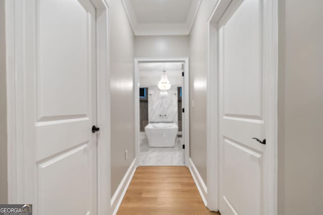 896 Bobby Jones Dr, Dublin, GA 31021 - corridor featuring crown molding and light wood-style flooring