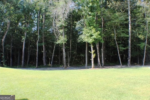 896 Bobby Jones Dr, Dublin, GA 31021 - view of grassy yard