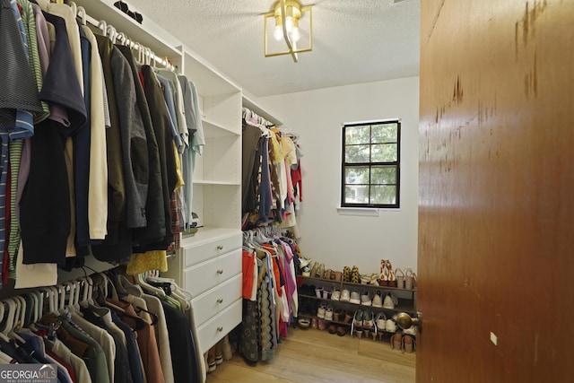 126 S Sheftall Cir, Savannah, GA 31410 - walk in closet with light wood-type flooring
