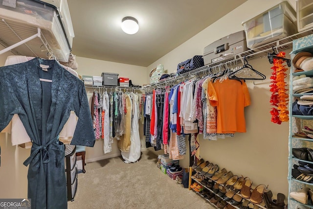 236 Creek View Ln, Acworth, GA 30102 - walk in closet with carpet flooring