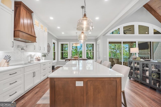 123 River Point Rd, Jackson, GA 30233 - kitchen with plenty of natural light, custom range hood, dark wood-type flooring, glass insert cabinets, and ornamental molding