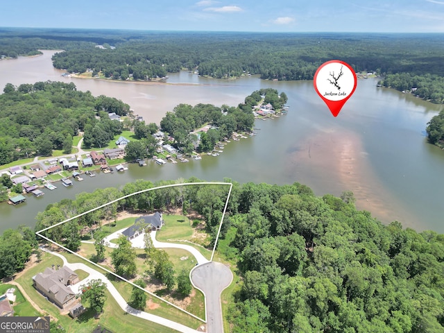 123 River Point Rd, Jackson, GA 30233 - aerial view of property's location with a nearby body of water and property boundaries highlighted