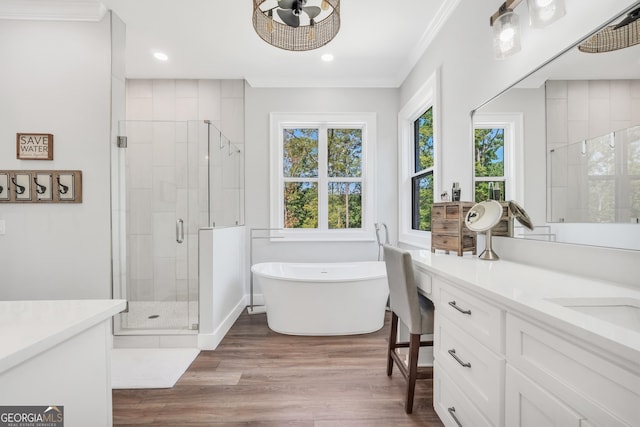 123 River Point Rd, Jackson, GA 30233 - bathroom featuring vanity, a stall shower, ornamental molding, a freestanding bath, and plenty of natural light