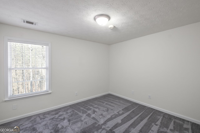 130 Sable Pointe Dr, Milton, GA 30004 - spare room with plenty of natural light, dark carpet, and a textured ceiling