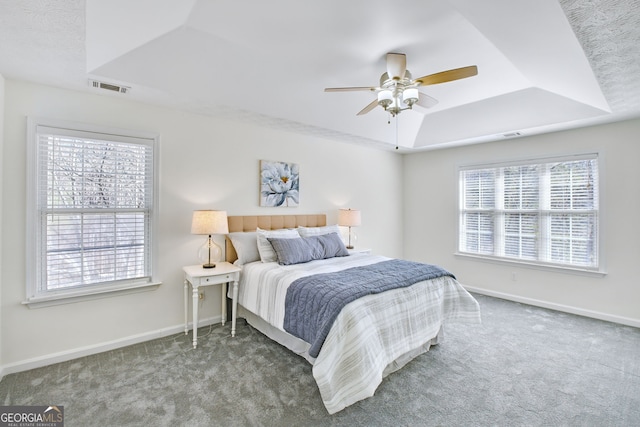 130 Sable Pointe Dr, Milton, GA 30004 - bedroom featuring a raised ceiling, multiple windows, and carpet floors