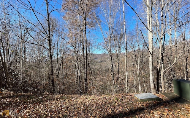 LOT36M Mountain Harbour, Hayesville NC, 28904 land for sale