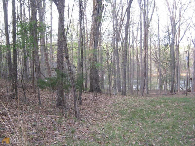 Listing photo 3 for LOT11 Riverbend Rd, Lavonia GA 30553