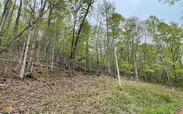 LOT31 Nelson Rdg, Hayesville NC, 28904 land for sale