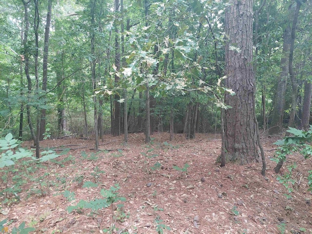 560 Stonecypher Rd, Suwanee GA, 30024 land for sale