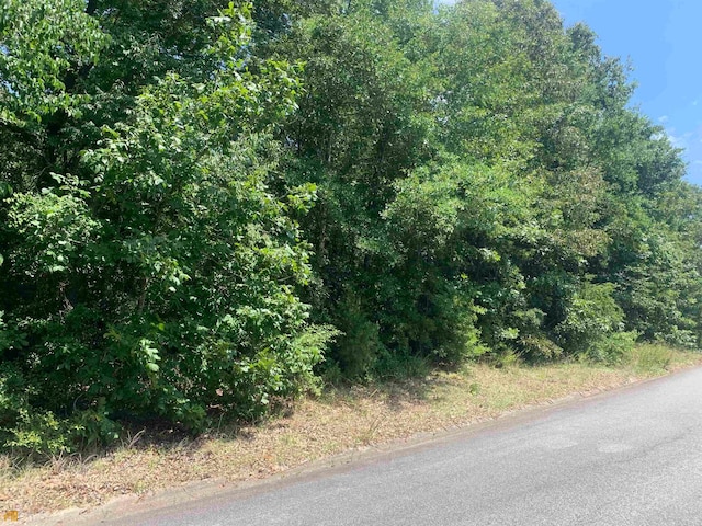 217 Blue Ridge Ln, Warner Robins, GA 31088