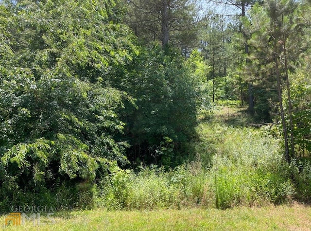 Listing photo 3 for 36 Loftis Mtn Way Lot 36, Blairsville GA 30512