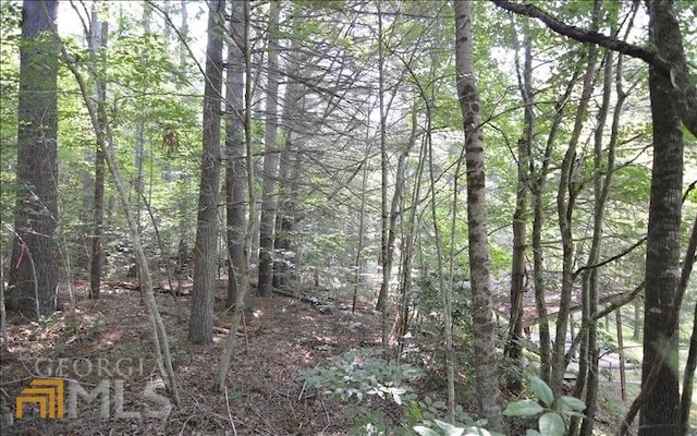 LOT6 Baker Ln, Hiawassee GA, 30546 land for sale