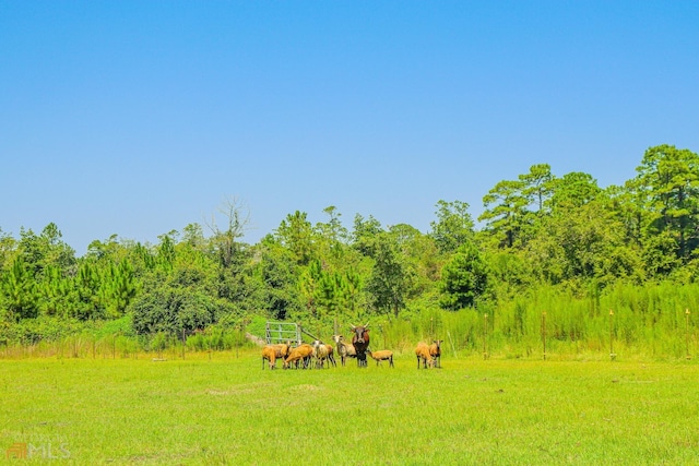 view of mother earth's splendor with a rural view