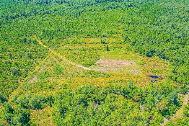 view of birds eye view of property