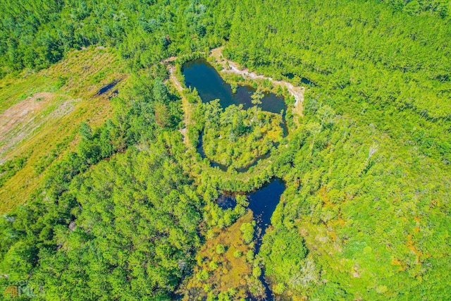 view of bird's eye view