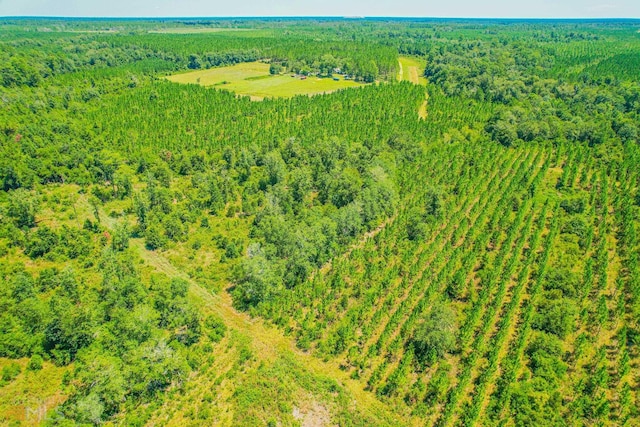 view of aerial view