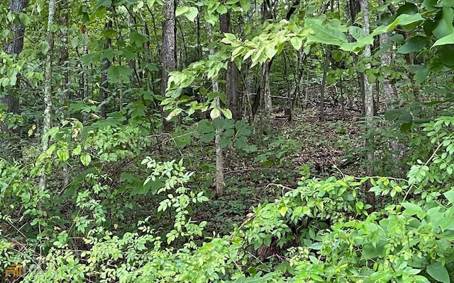 Listing photo 2 for LOT6A Kilpatrick Point Ter, Hayesville NC 28904