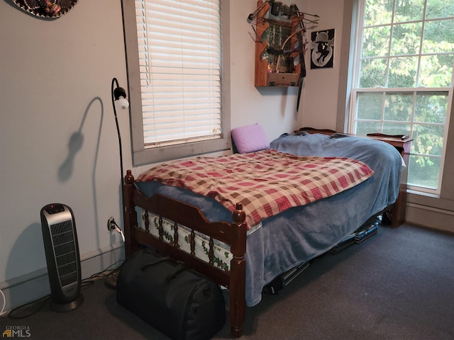 carpeted bedroom with multiple windows