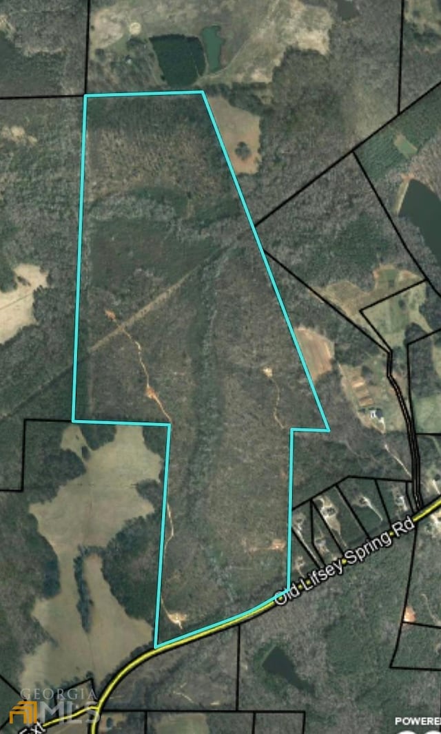 0 Old Lifsey Springs Rd, Molena GA, 30258 land for sale