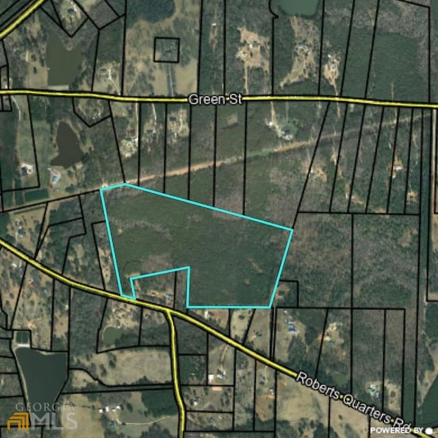 0 Green St, Concord GA, 30206 land for sale