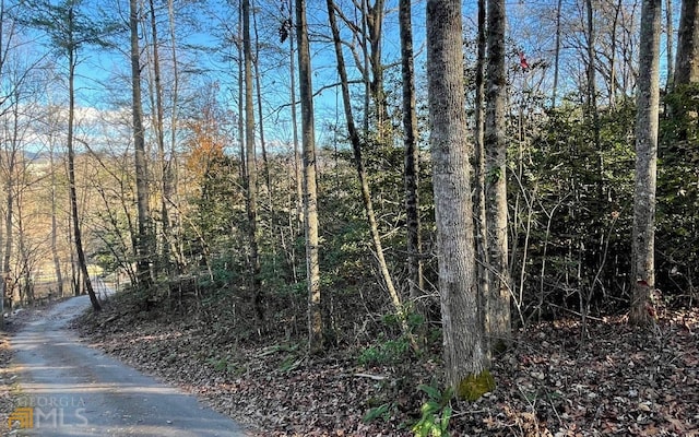 Listing photo 2 for LOT14 Kilpatrick Point Ter, Hayesville NC 28904