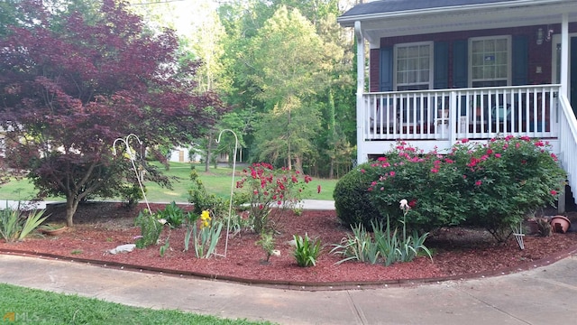 view of yard with covered porch