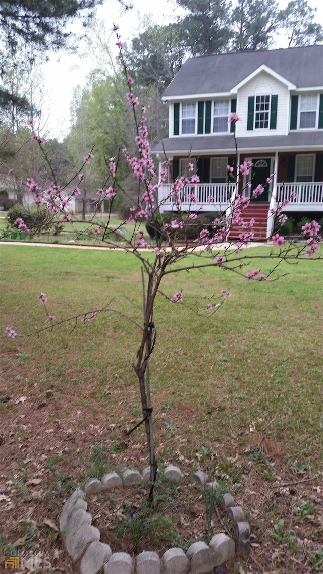 view of yard with a porch