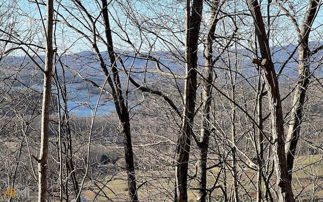 Listing photo 2 for LOT63 Dan Knob, Hayesville NC 28904