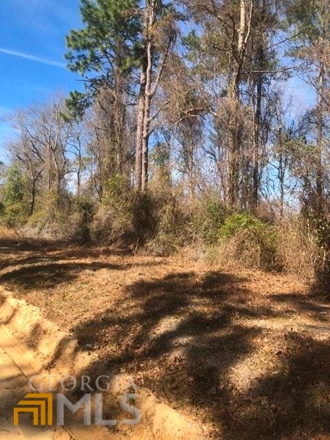 Listing photo 3 for 0 Brewton Rd, Claxton GA 30417